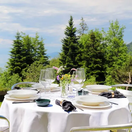 Le Revers By Interhome * Caux sur Montreux