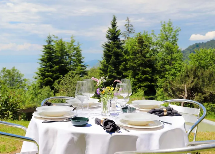 Le Revers By Interhome * Caux sur Montreux